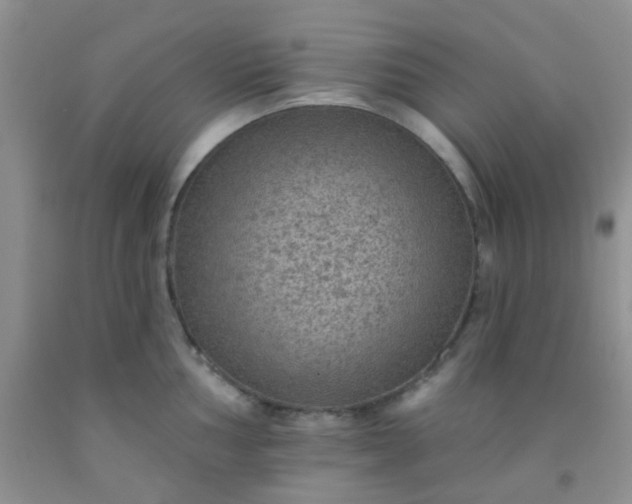 X0000092031002200709201608