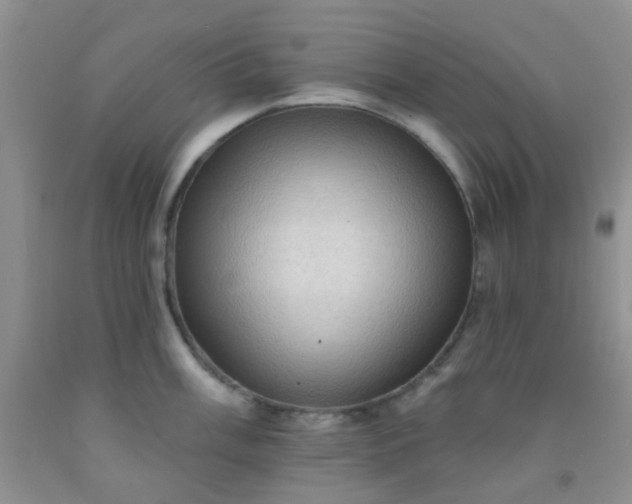 X0000092031003200709201608