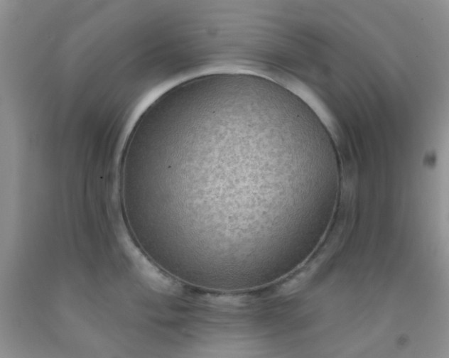 X0000092031004200709201608