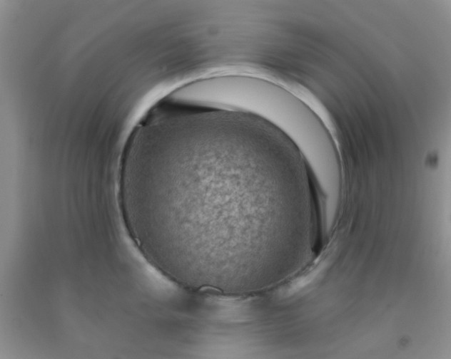 X0000092031005200709201608