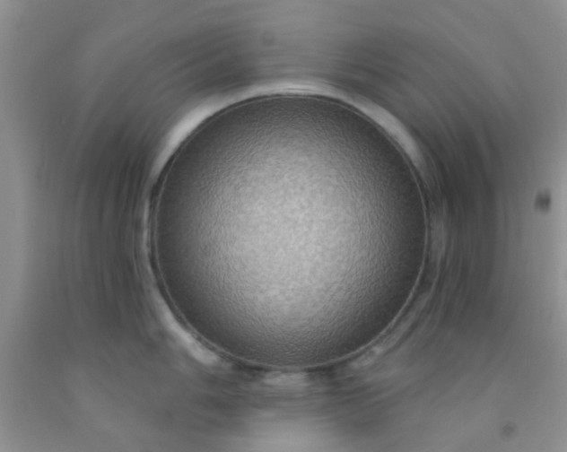 X0000092031006200709201608