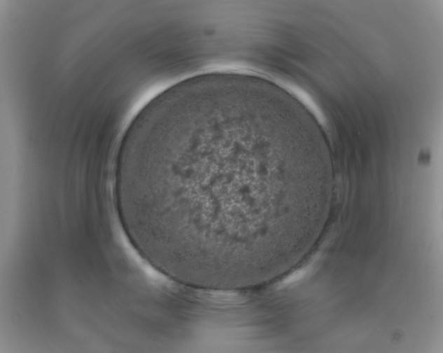 X0000092031007200709201608