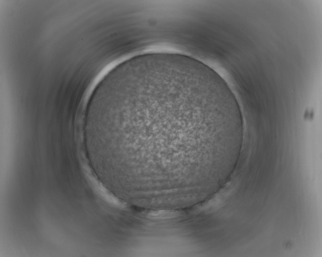 X0000092031008200709201608