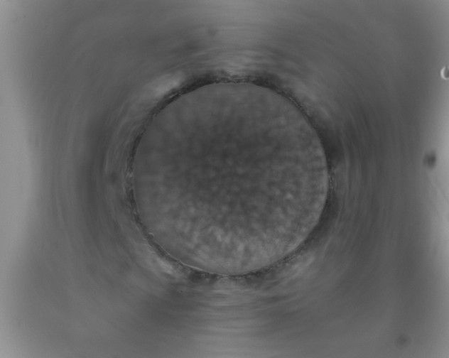 X0000092031009200709201607