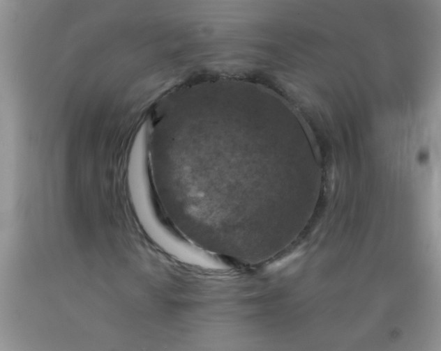 X0000092031010200709201607