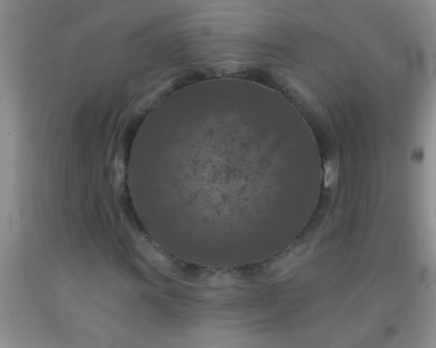 X0000092031011200709201607