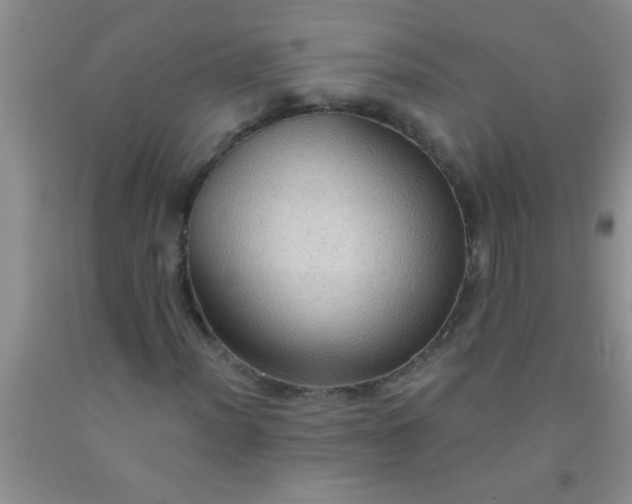 X0000092031012200709201607