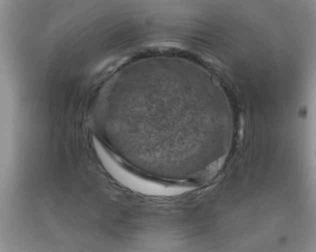 X0000092031014200709201607