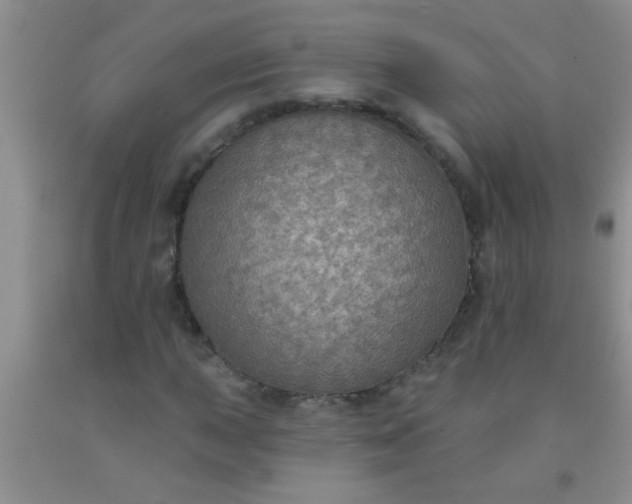 X0000092031015200709201607