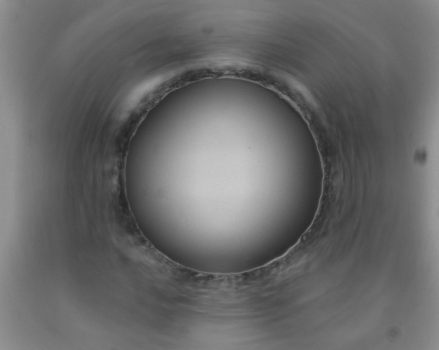 X0000092031016200709201607