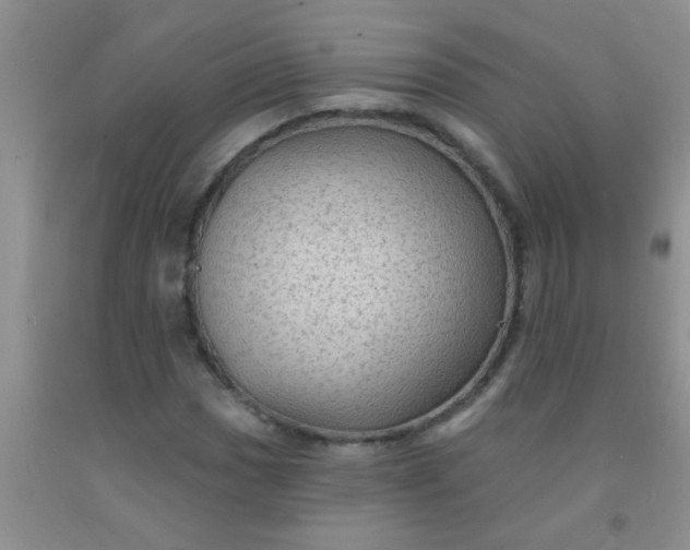 X0000092031017200709201607