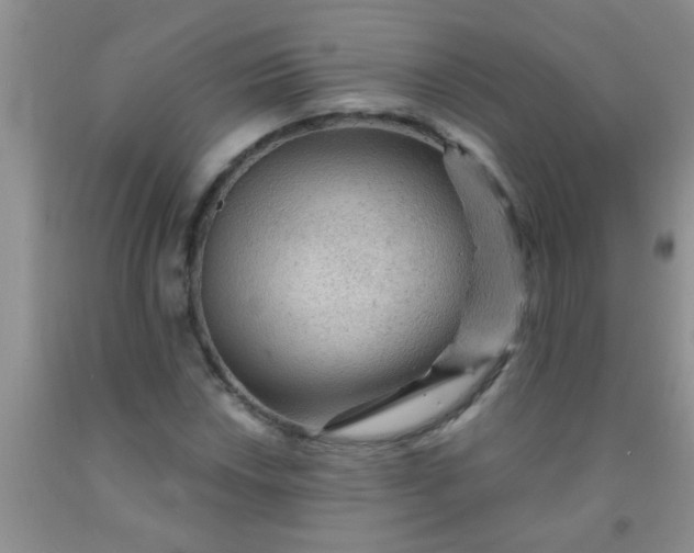 X0000092031018200709201607