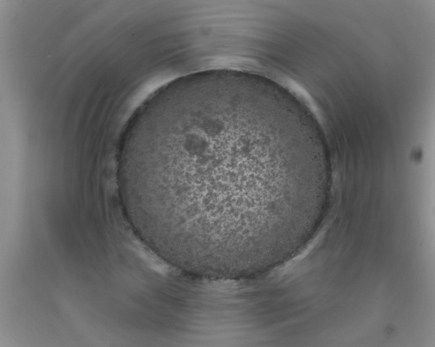 X0000092031019200709201607