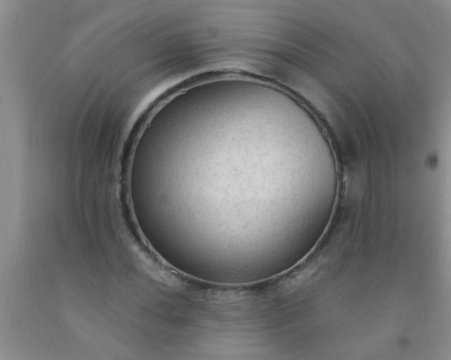 X0000092031020200709201607