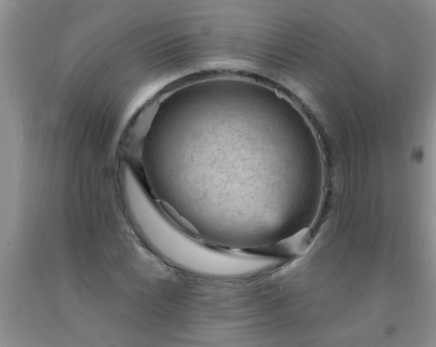 X0000092031022200709201607