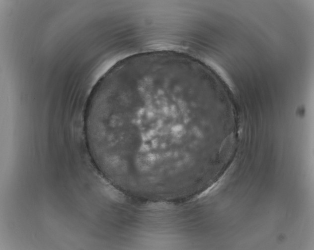 X0000092031023200709201607