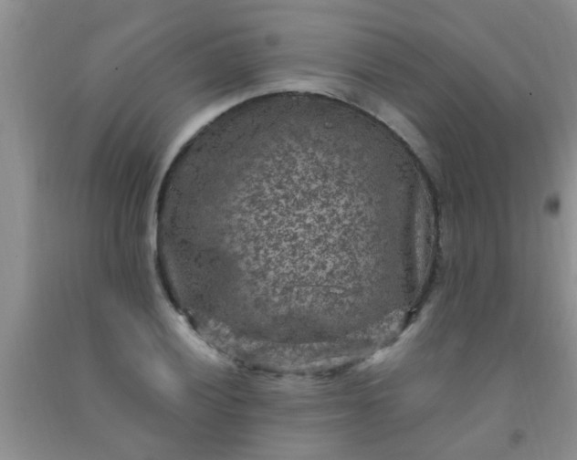 X0000092031028200709201607