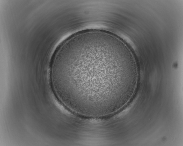 X0000092031029200709201607