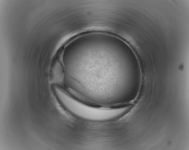 X0000092031030200709201607