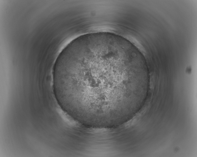 X0000092031031200709201607