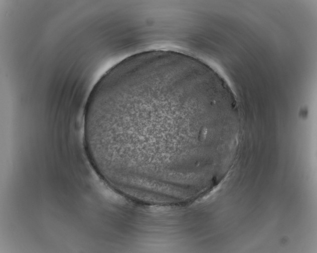 X0000092031032200709201607