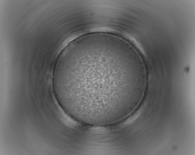 X0000092031033200709201607