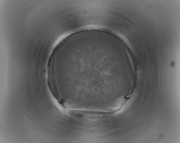 X0000092031034200709201607