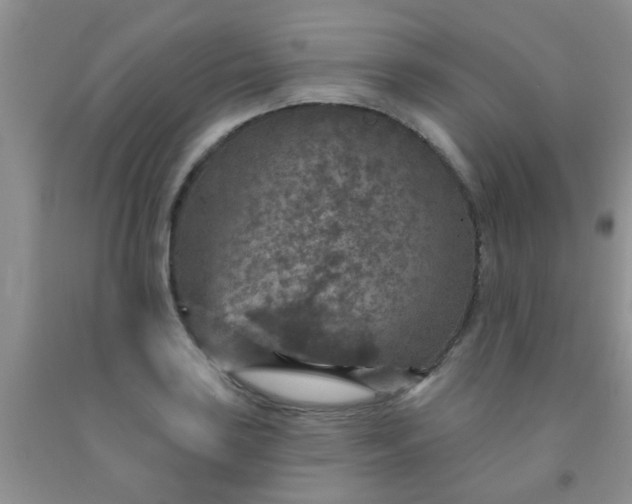 X0000092031035200709201607