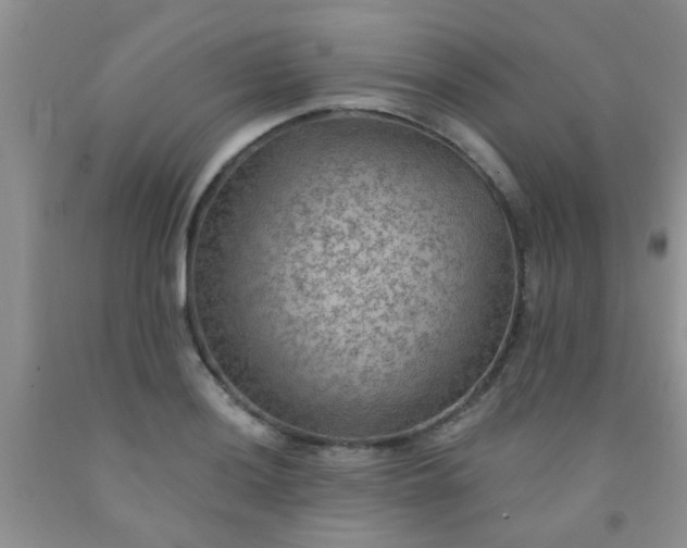 X0000092031036200709201607