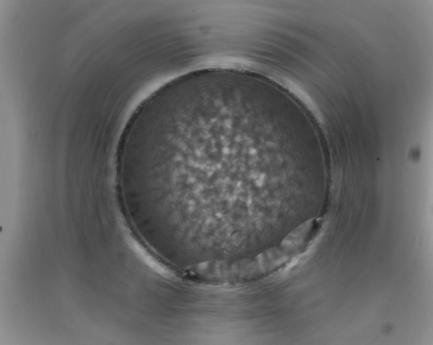 X0000092031037200709201607