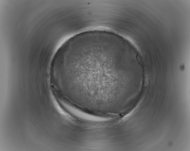 X0000092031038200709201607