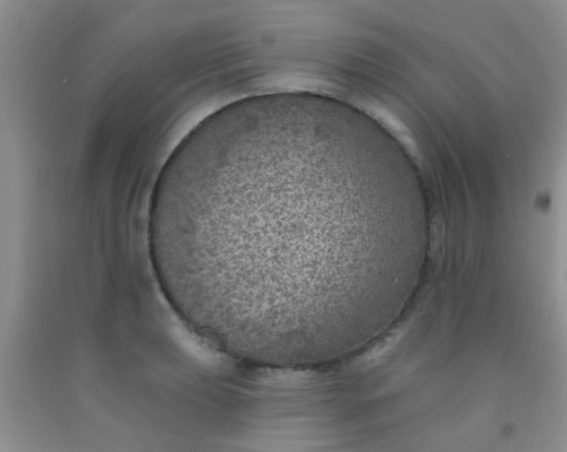 X0000092031039200709201607