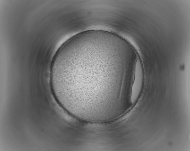 X0000092031040200709201607