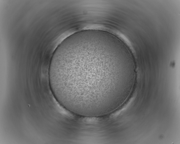 X0000092031041200709201608