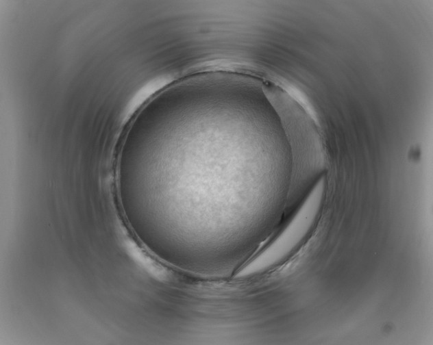 X0000092031042200709201608