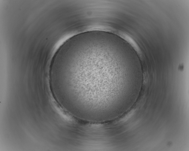 X0000092031043200709201608