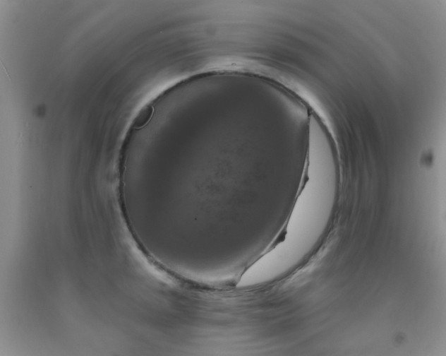 X0000092031045200709201608