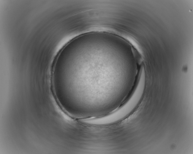 X0000092031046200709201608