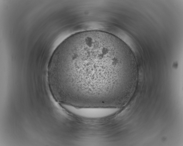 X0000092031047200709201608