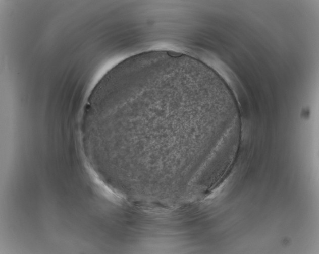 X0000092031048200709201608