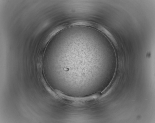 X0000092031049200709201608