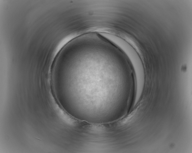 X0000092031050200709201608