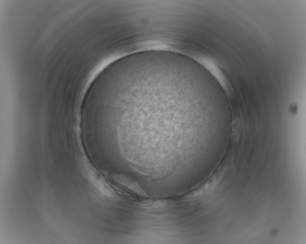 X0000092031051200709201608