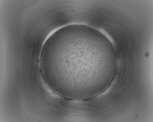 X0000092031052200709201608