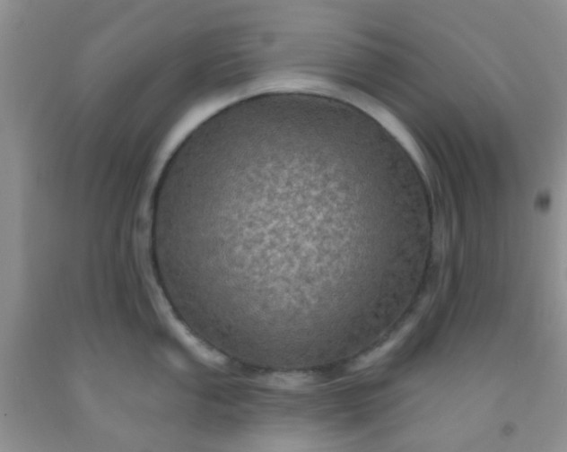 X0000092031053200709201608