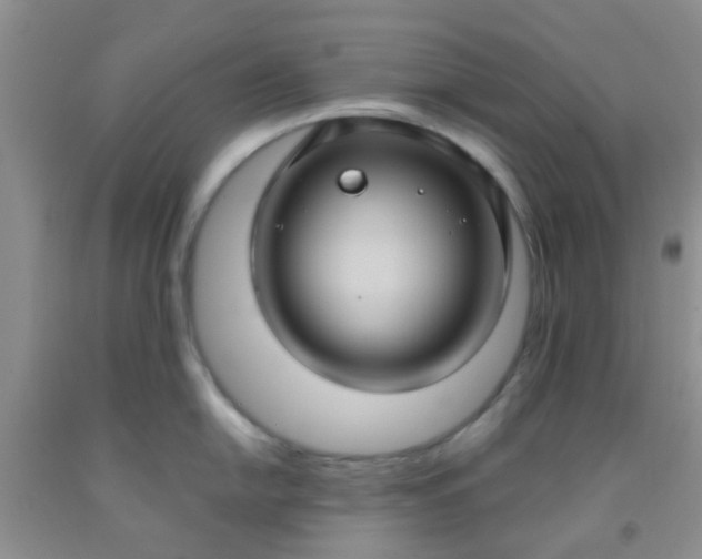 X0000092031054200709201608