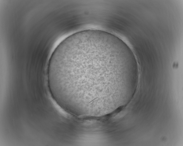 X0000092031056200709201608