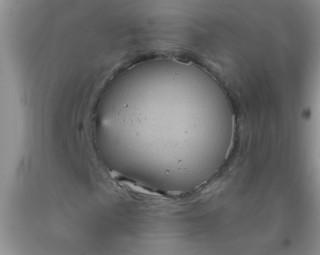 X0000092031057200709201607