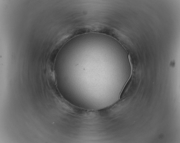 X0000092031058200709201607