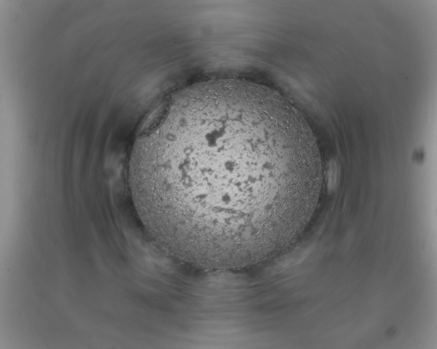 X0000092031059200709201607